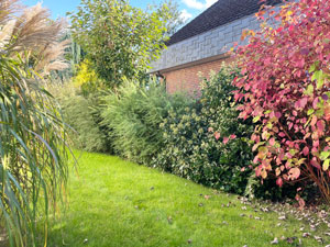 BV Alstertal Bepflanzung Grundstuecksgrenzen 3s