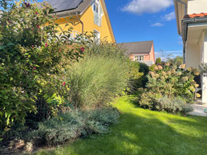 BV Alstertal Bepflanzung Grundstuecksgrenzen 4s