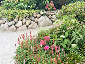 BV Alstertal Bepflanzung Hauseingang 3